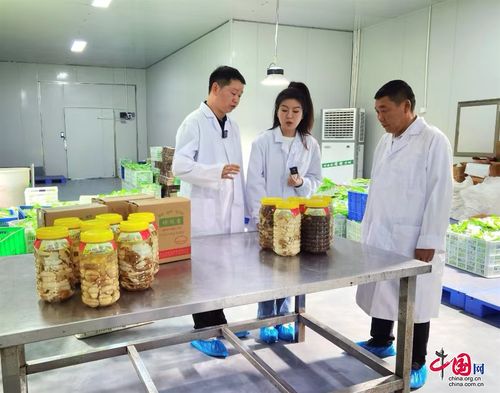 萬事皆不易 實(shí)干方能成