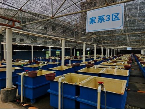 廈門市海洋與水產學會海洋文化與科普專業委員會晉江圍頭調研